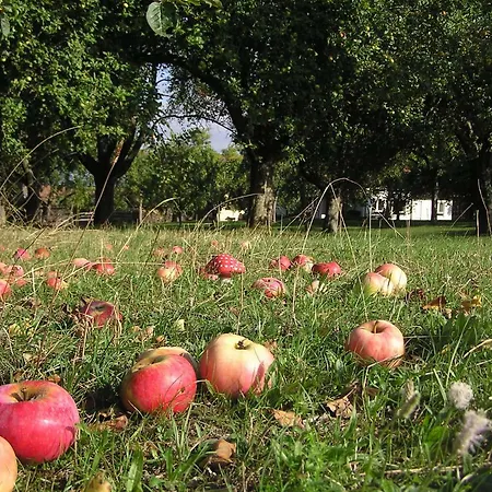 דירה Hof Bauer Zaisenhausen (Mulfingen)