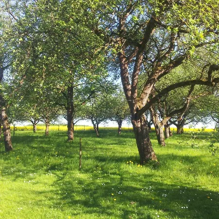 Hof Bauer * Zaisenhausen (Mulfingen)