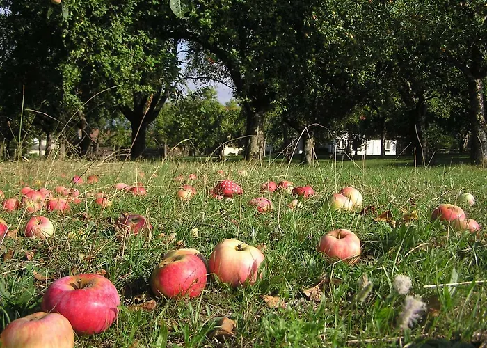 Appartement Hof Bauer Zaisenhausen (Mulfingen)