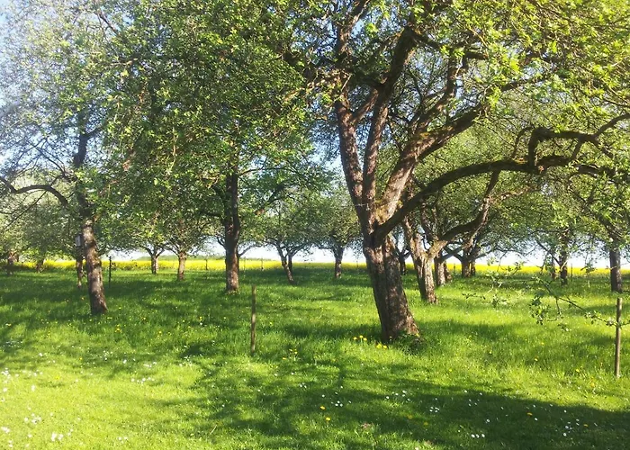 Hof Bauer * Zaisenhausen (Mulfingen)